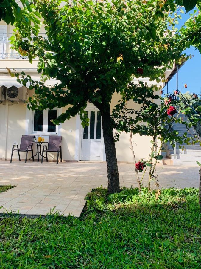 Olive Tree Apartments Lefkada City Exterior photo